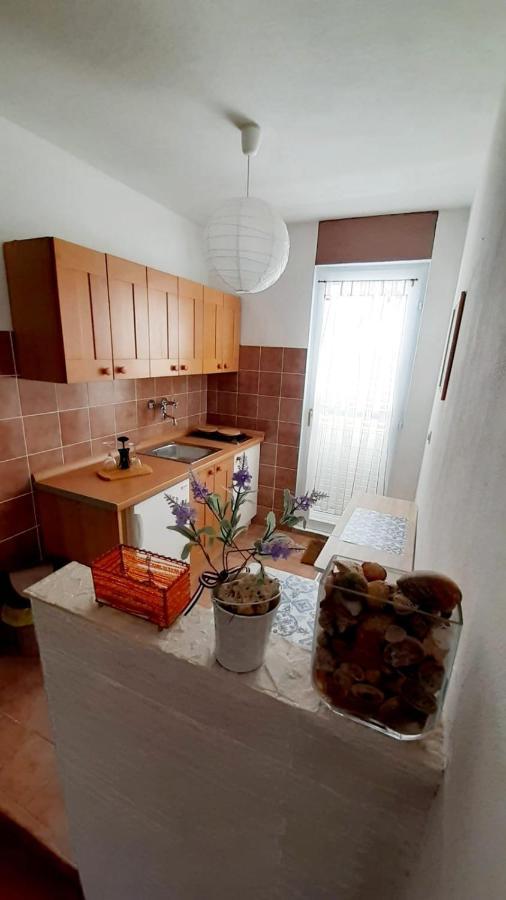 Apartman Ivan Vir Εξωτερικό φωτογραφία