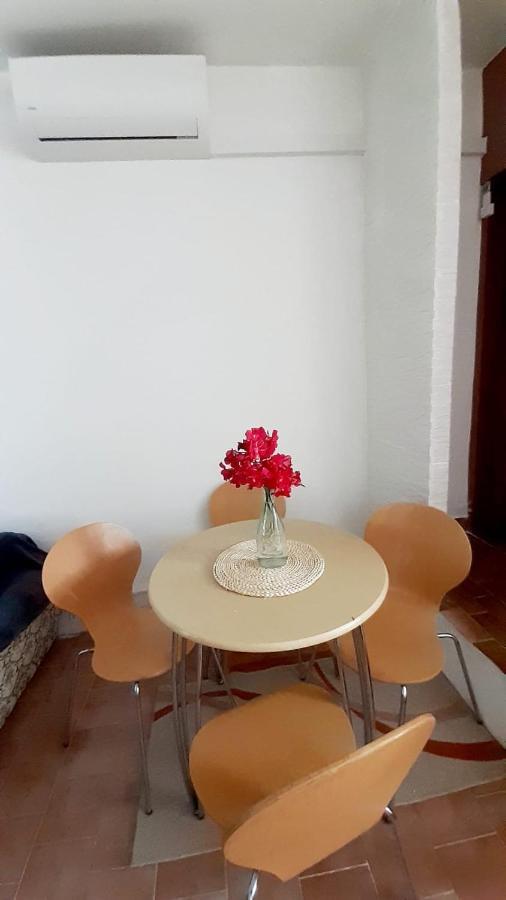 Apartman Ivan Vir Εξωτερικό φωτογραφία